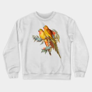 Princess of Wales Parakeet Vintage Illustration Crewneck Sweatshirt